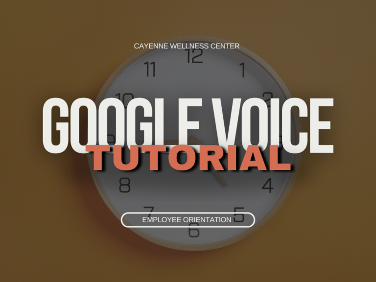 Course 4: Google Voice tutorial